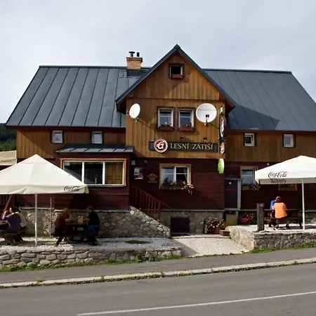 Guest house Penzion Lesni Zatisi