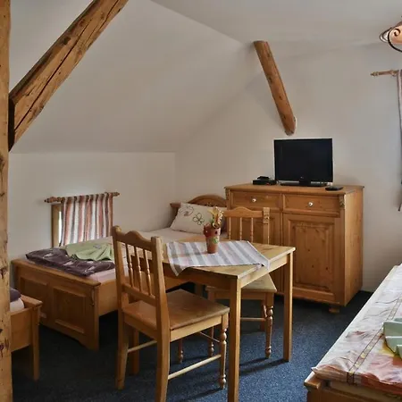 Penzion Lesni Zatisi Guest house
