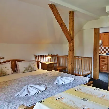 Penzion Lesni Zatisi Guest house *